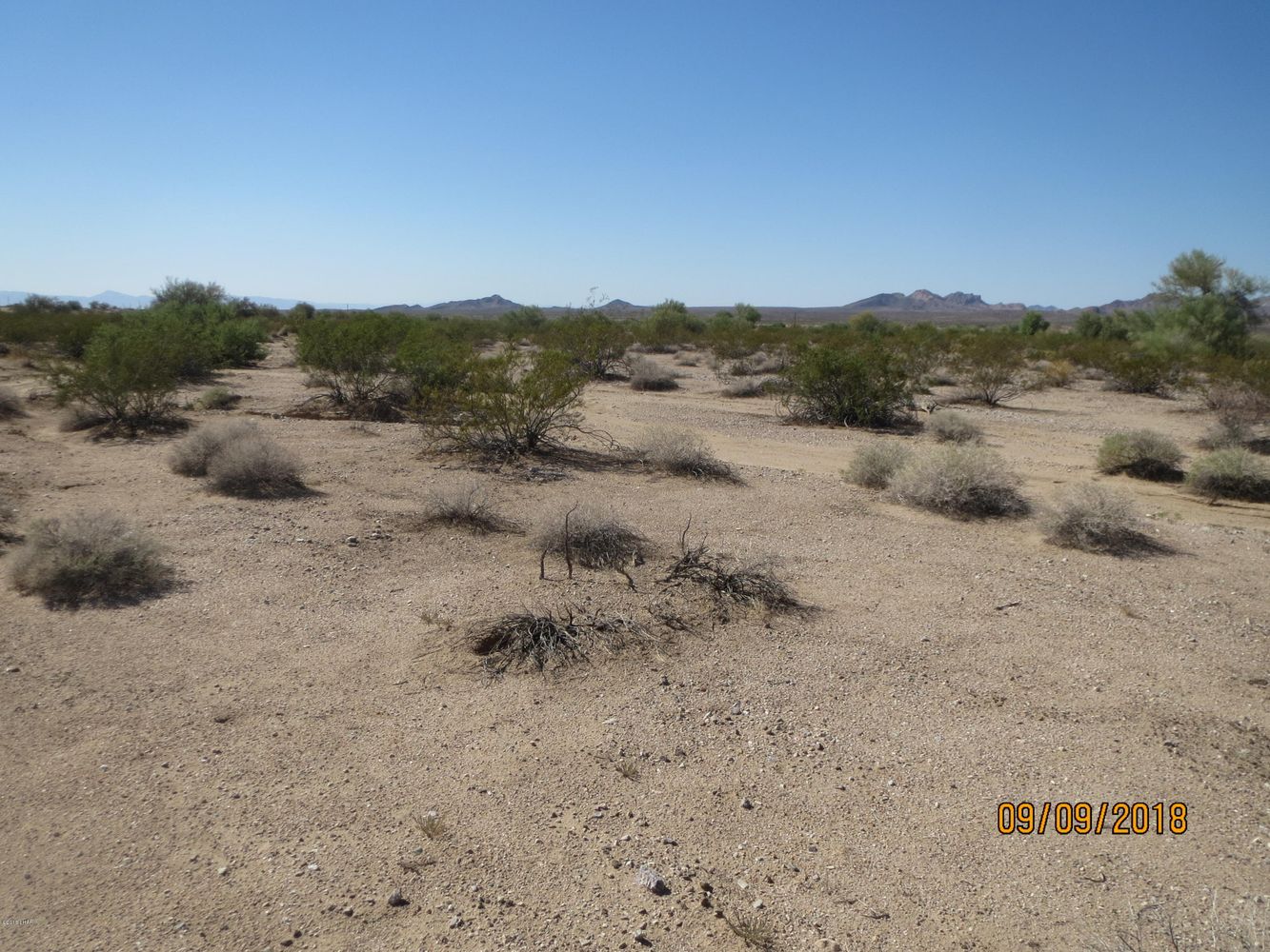 Lot 36A& Douglas Ln: Douglas Ln, Yucca, AZ 86438